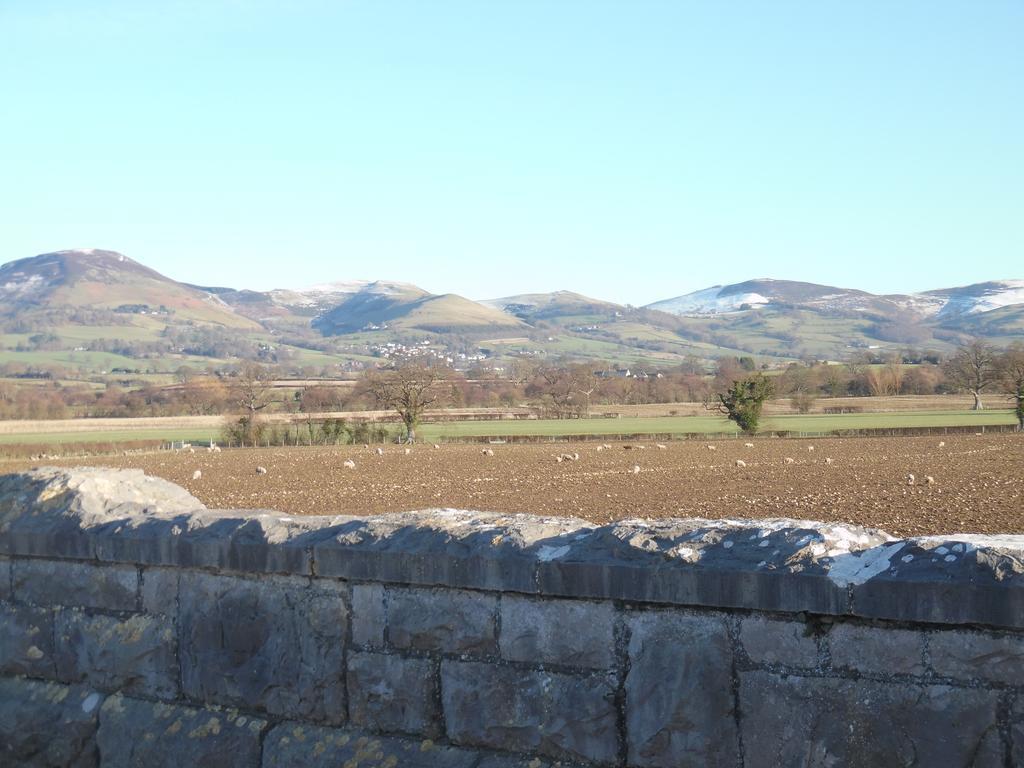 Granary At Tyddyn Isaf Villa Рутин Екстериор снимка